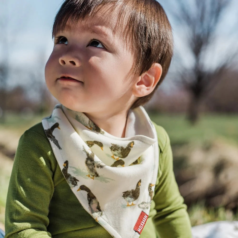 Organic Kerchief Bib Vintage Floral
