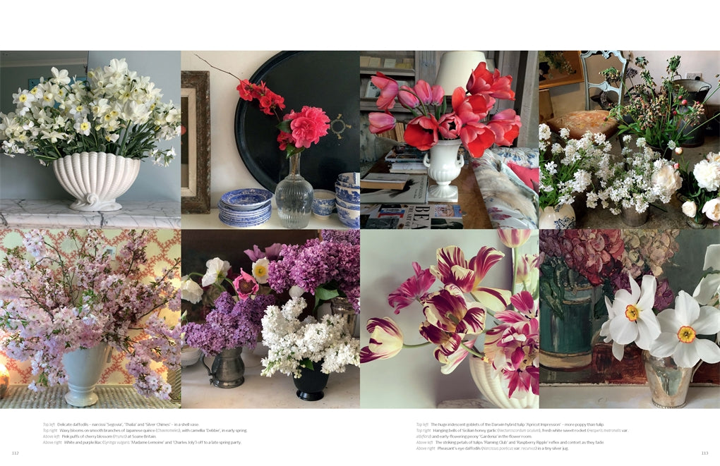The Land Gardners Cut Flowes