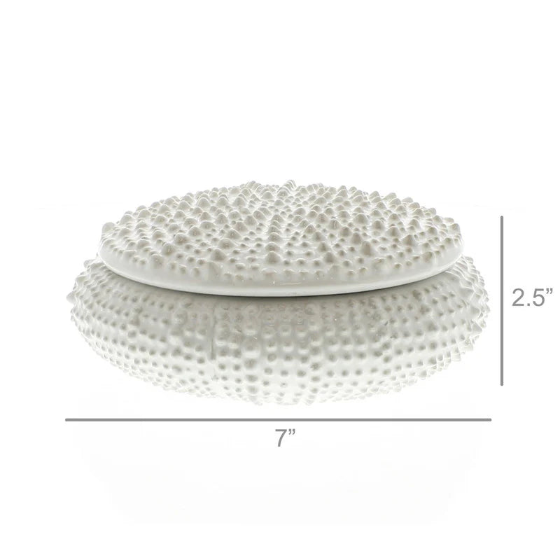 Urchin ceramic box-large