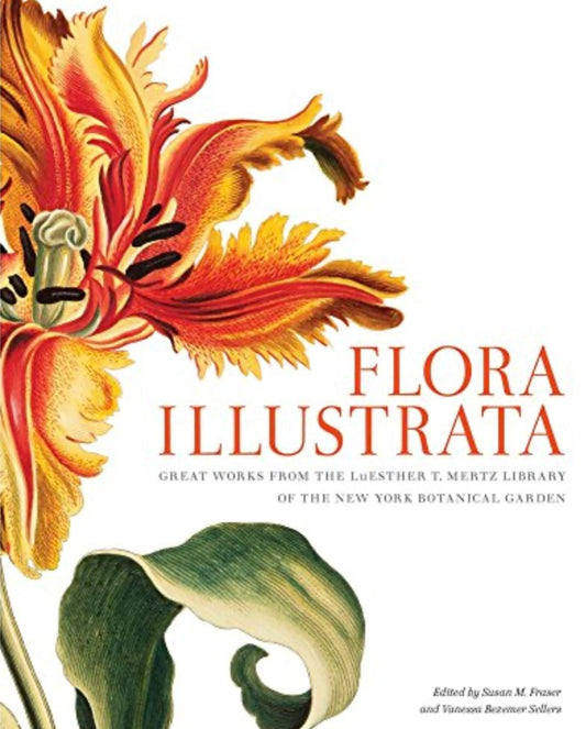 Flora Illustrata