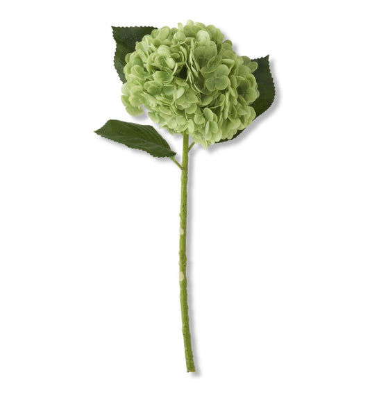 Green Real Touch Hydrangea Stem