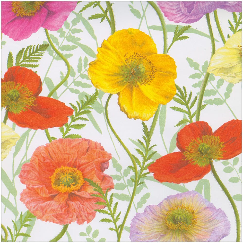 Poppy Gift Wrap