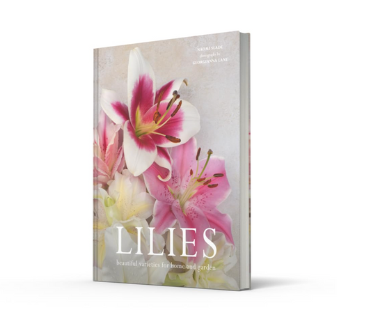 Lillies