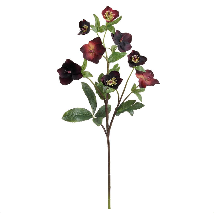 33" Real Touch Helleborus Spray