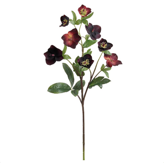 33" Real Touch Helleborus Spray