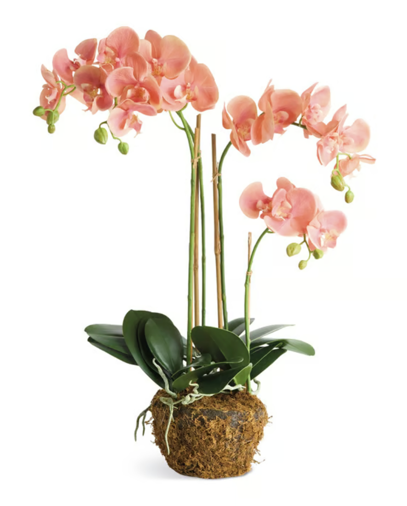 Phalaenopsis Orchid Drop-In 30"