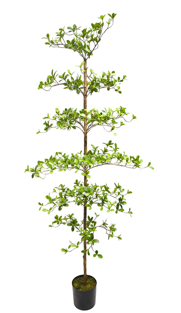 Silhouette Tree 7'