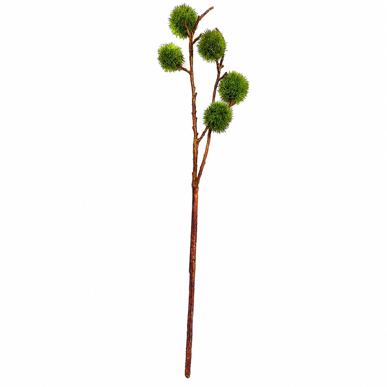 Chestnut Stem Green