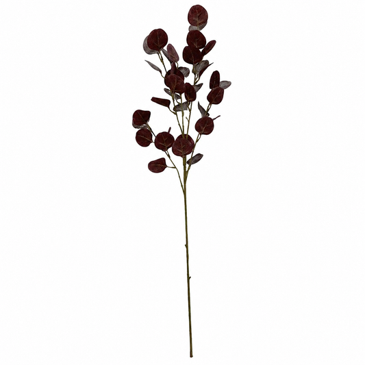 Plum Silver Dollar Eucalyptus