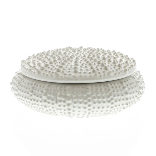 Urchin ceramic box-large