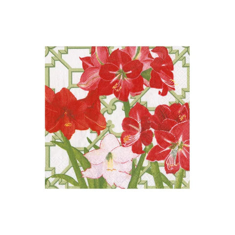 Amaryllis Conservatory Cocktail Napkin