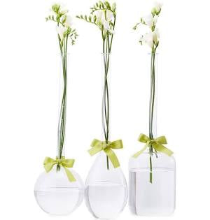 Sleek & Chic Vase- Assorted Shapes