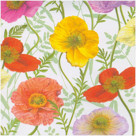 Poppy Gift Wrap