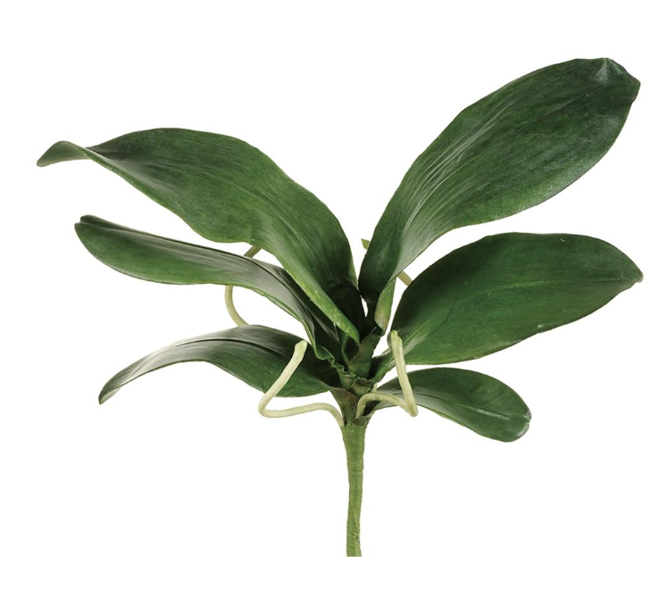 15" Large Phalaenopsis Orchid Leaf Spray